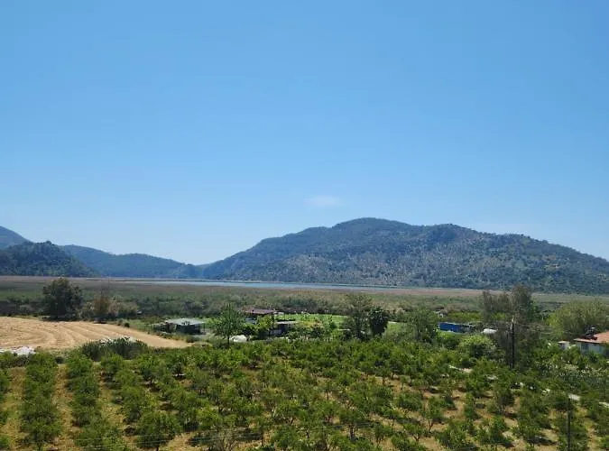 아파트 White Coral House *